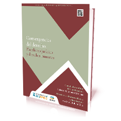 Convergencias del derecho: pluralismo jurídico y derechos humanos Convergencias del derecho: pluralismo jurídico y derechos humanos